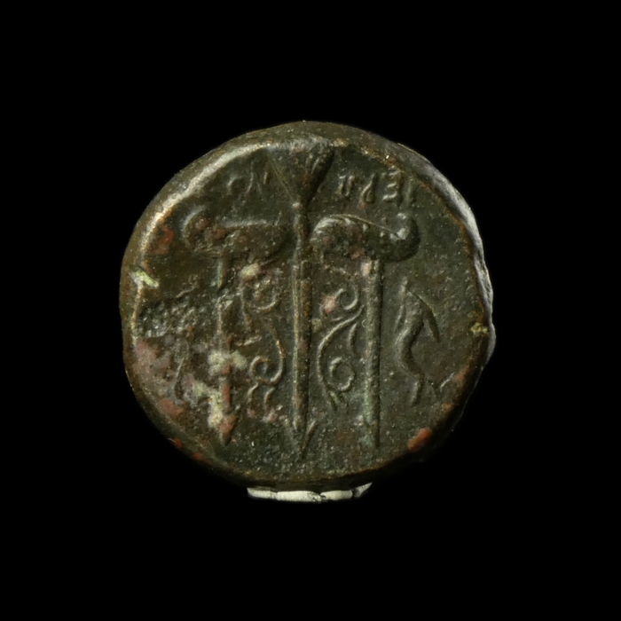 Ancient Greece, Sicily, Syracuse, Æ19, Hieron II