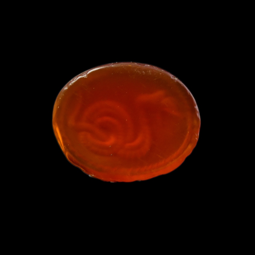 Ancient Greek carnelian intaglio with coiled snake