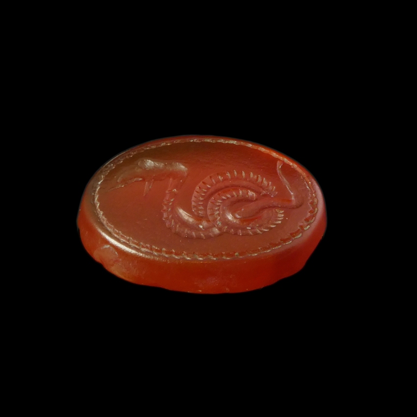 Ancient Greek carnelian intaglio with coiled snake